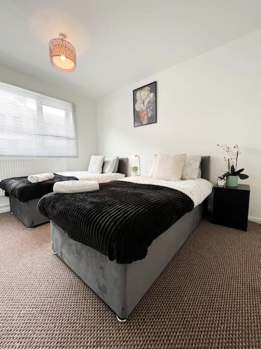 3 Bedroom House With Free Parking Chatham  Bagian luar foto