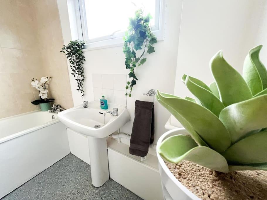 3 Bedroom House With Free Parking Chatham  Bagian luar foto
