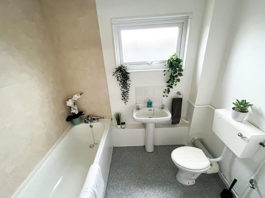3 Bedroom House With Free Parking Chatham  Bagian luar foto